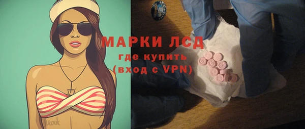 индика Михайловск