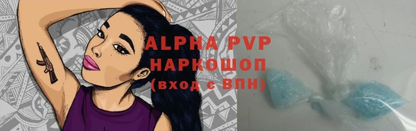 крисы Алексин