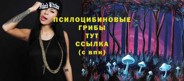 ешки Алзамай