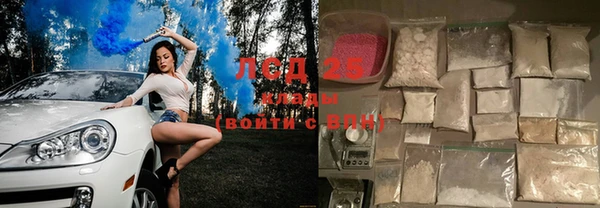 крисы Алексин