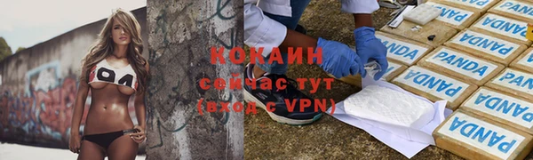 крисы Алексин