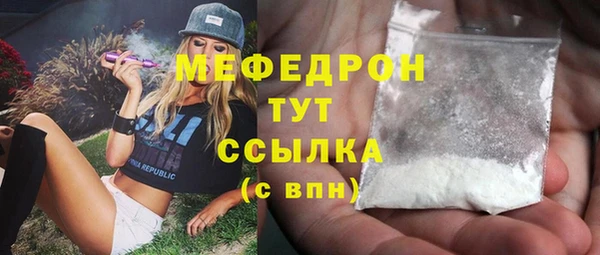 индика Михайловск